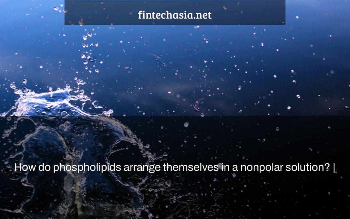 How do phospholipids arrange themselves in a nonpolar solution? |