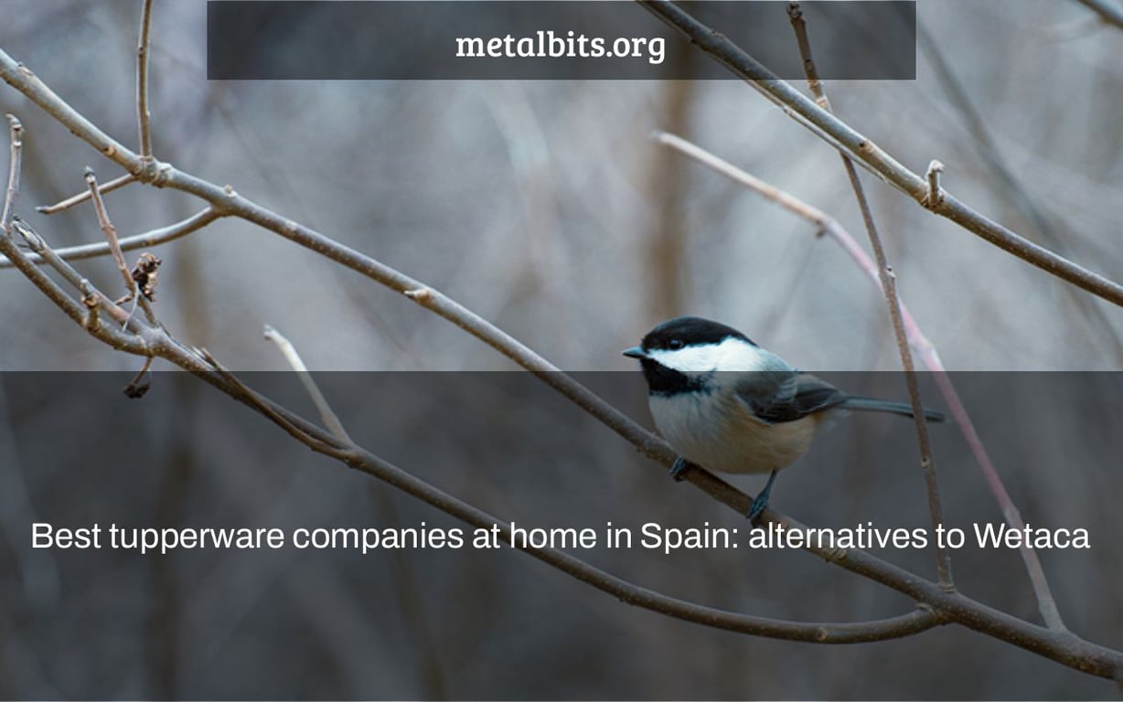 Best tupperware companies at home in Spain: alternatives to Wetaca