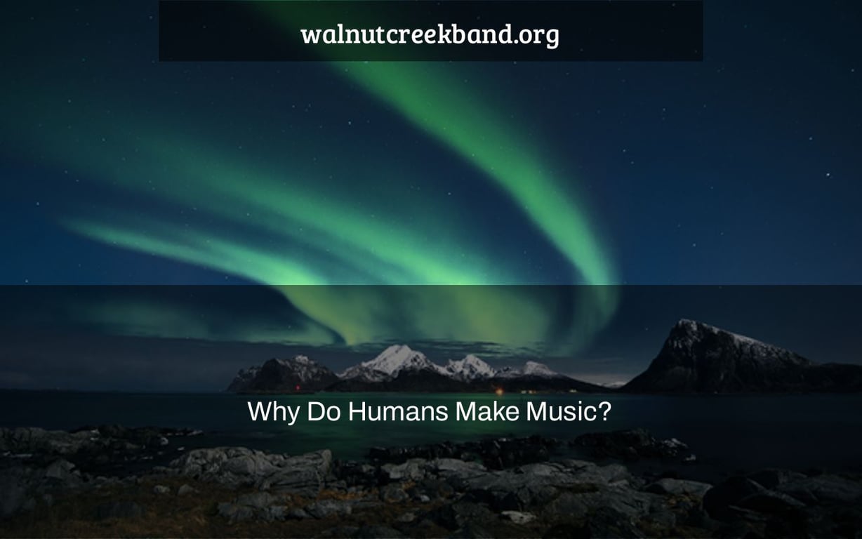 Why Do Humans Make Music?