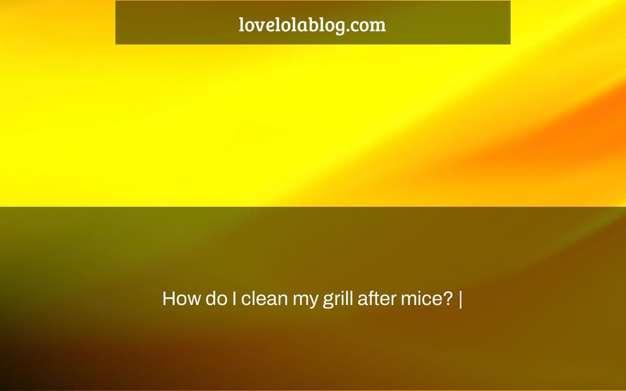 How do I clean my grill after mice? |