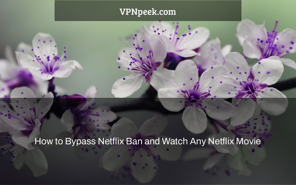 How to Bypass Netflix Ban and Watch Any Netflix Movie