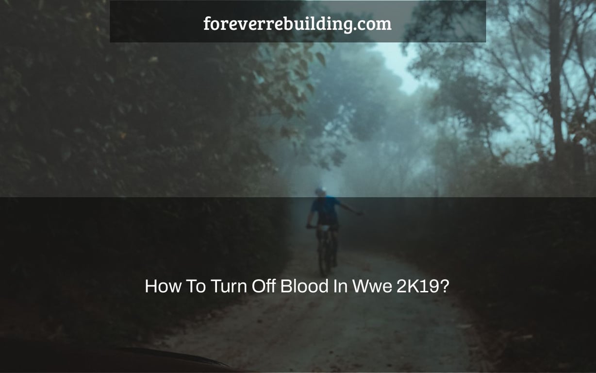 How To Turn Off Blood In Wwe 2K19?