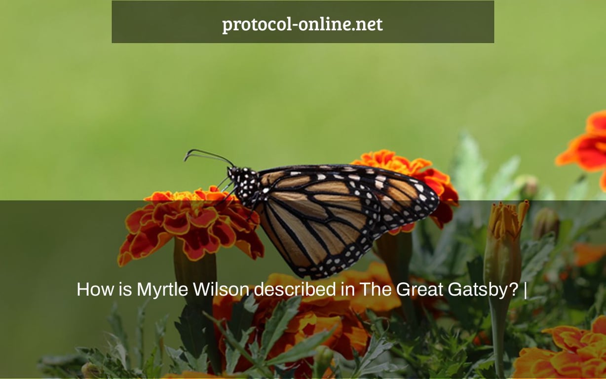 How is Myrtle Wilson described in The Great Gatsby? |