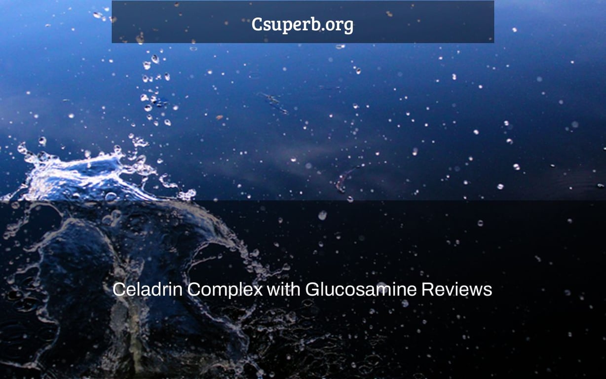 Celadrin 1500mg 365 Tabletten Gelenk Pflege Arthritis Glukosamin 