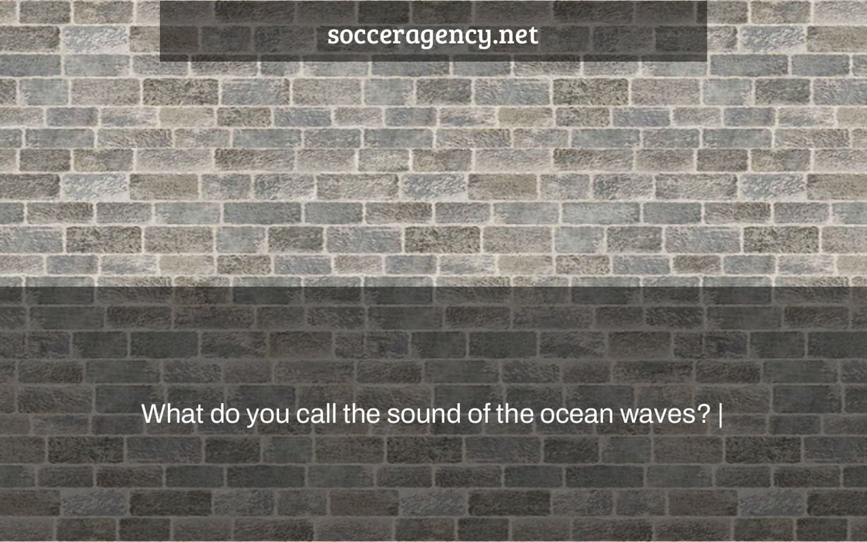 What do you call the sound of the ocean waves? |