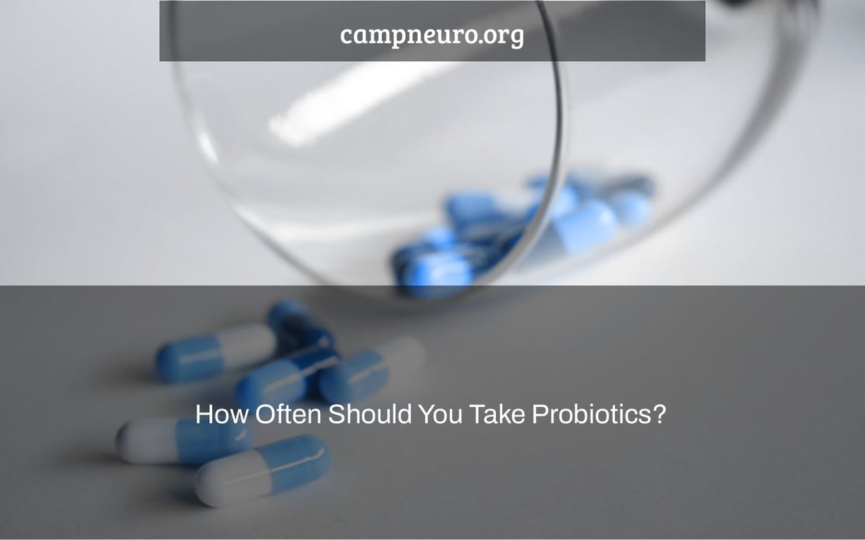 How Often Should You Take Probiotics?
