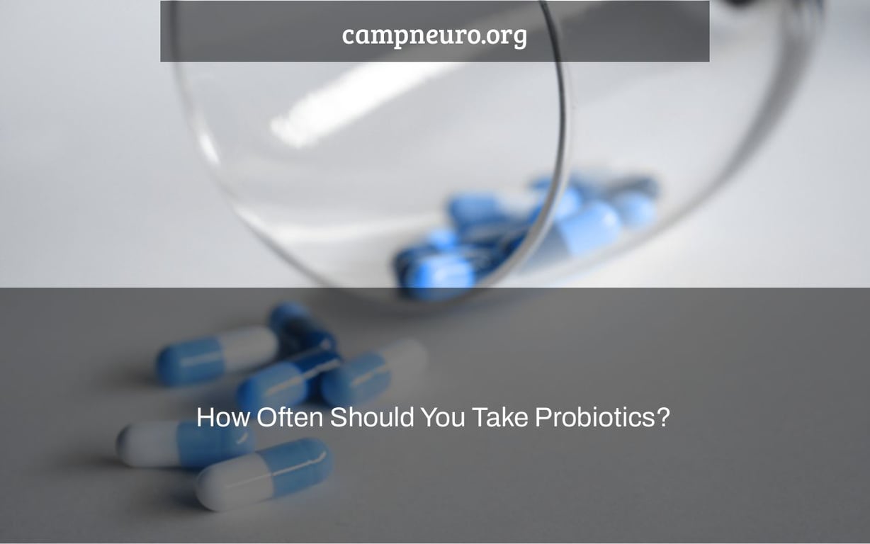 How Often Should You Take Probiotics? Camp Neuro