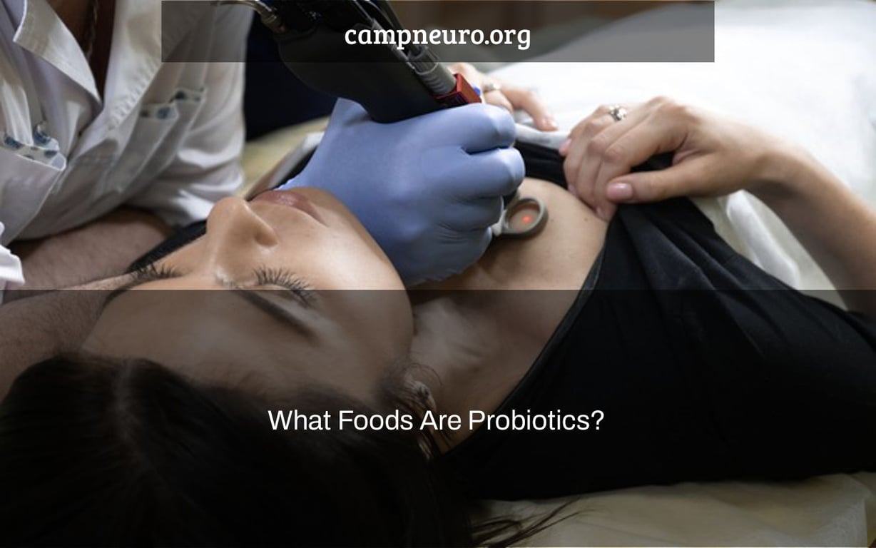 What Foods Are Probiotics?
