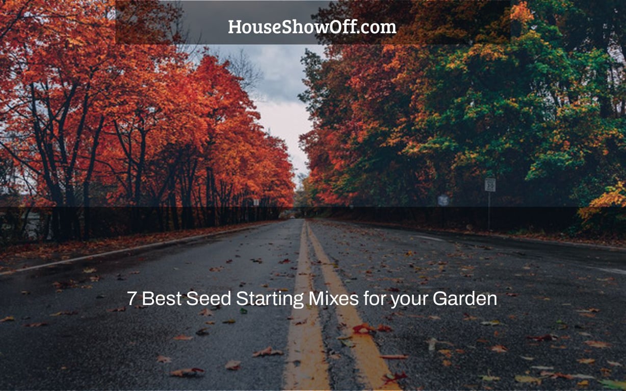 7 Best Seed Starting Mixes for your Garden