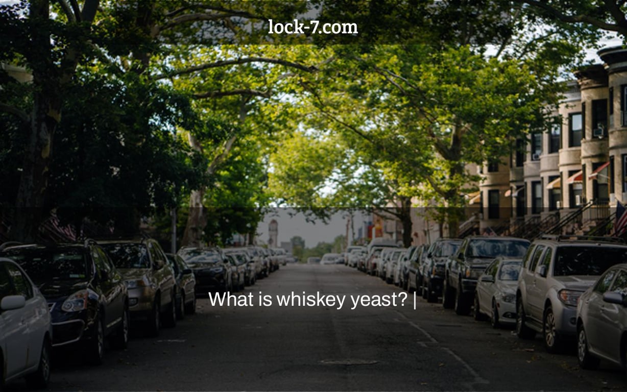 What is whiskey yeast? |