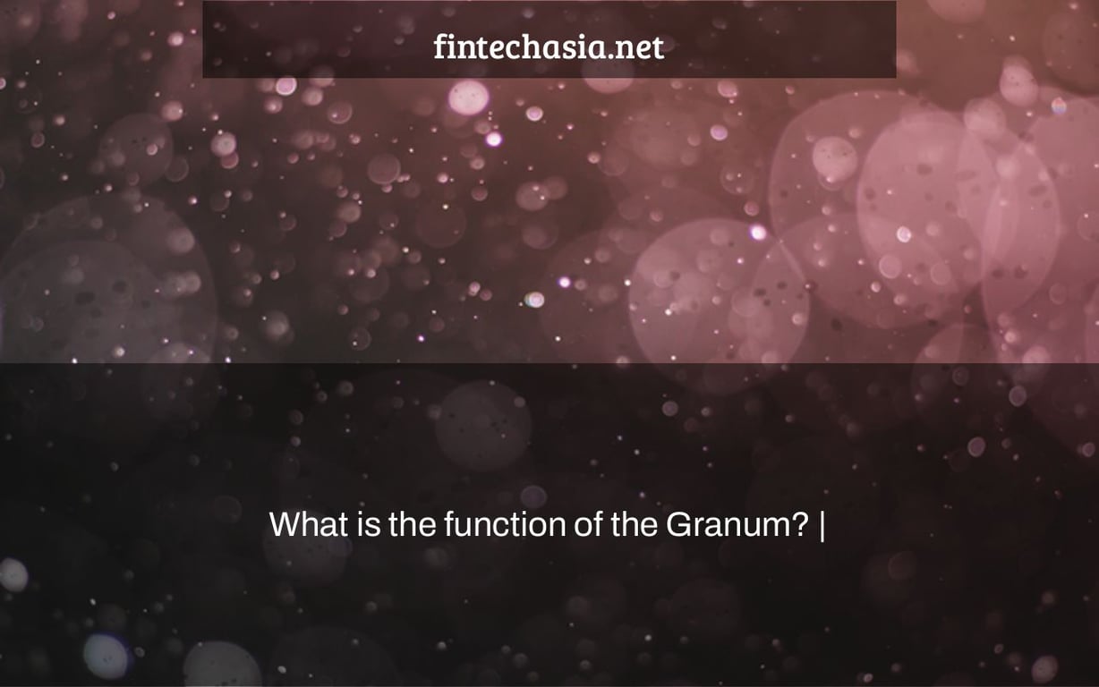 What is the function of the Granum? FintechAsia