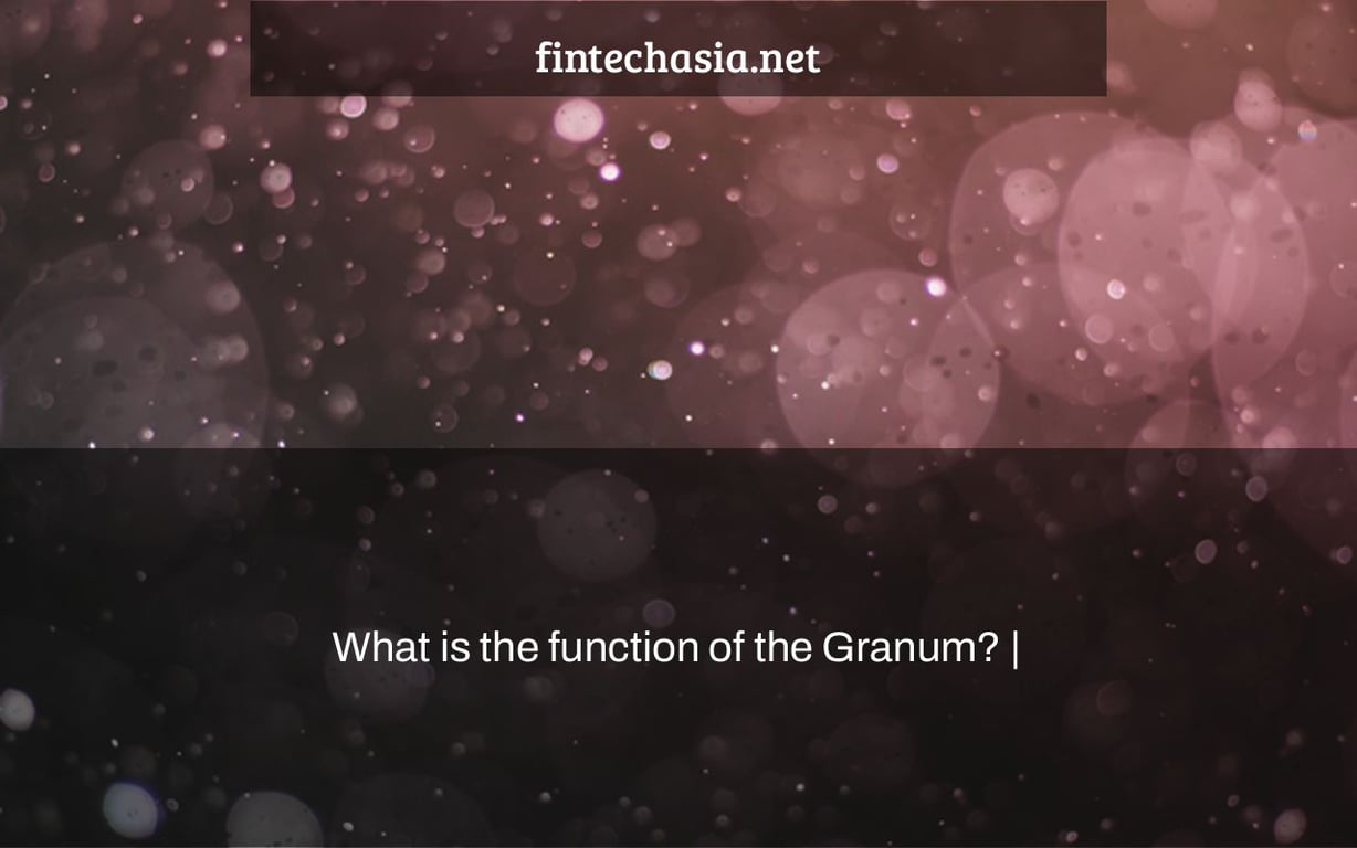 What is the function of the Granum? |