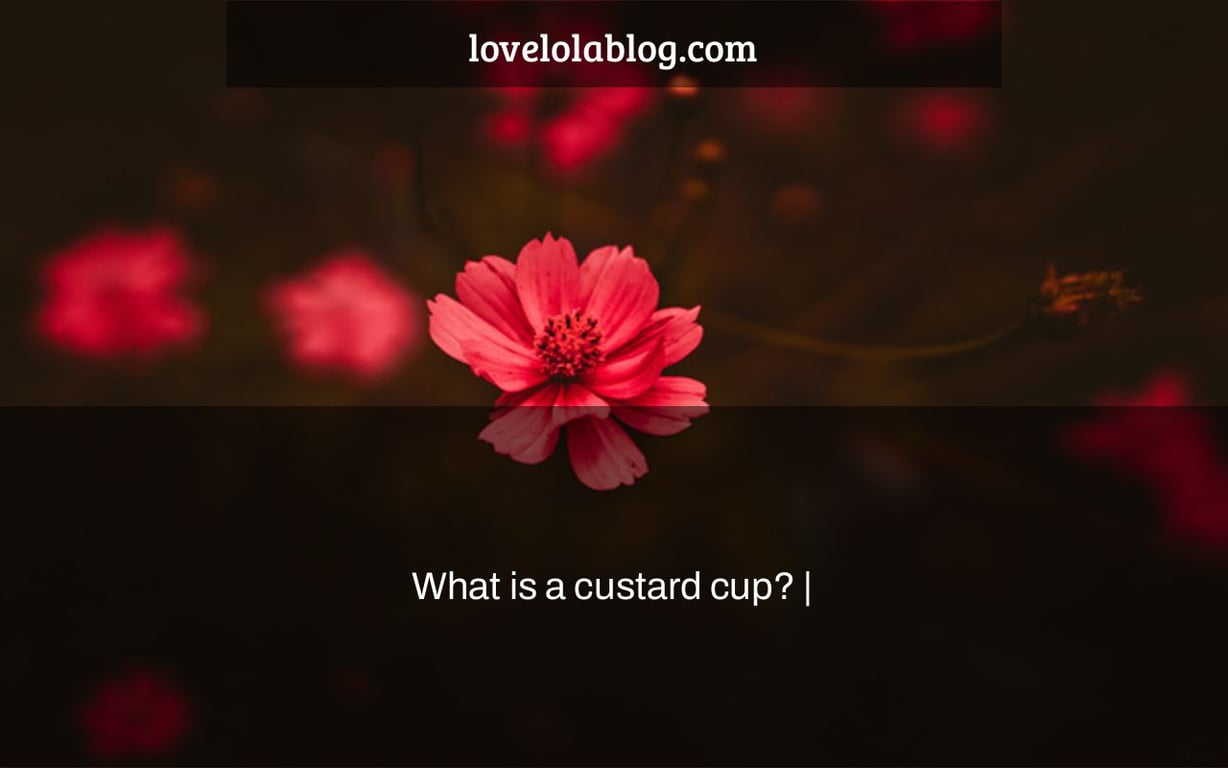 What is a custard cup? |