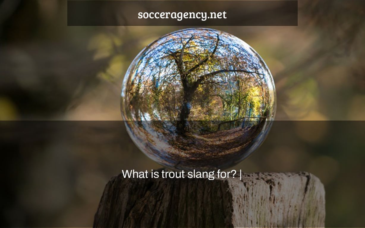 What is trout slang for? |