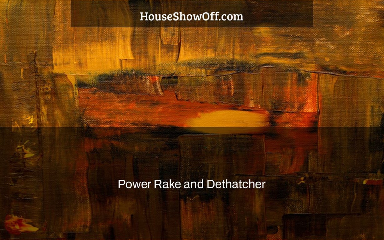 Power Rake and Dethatcher