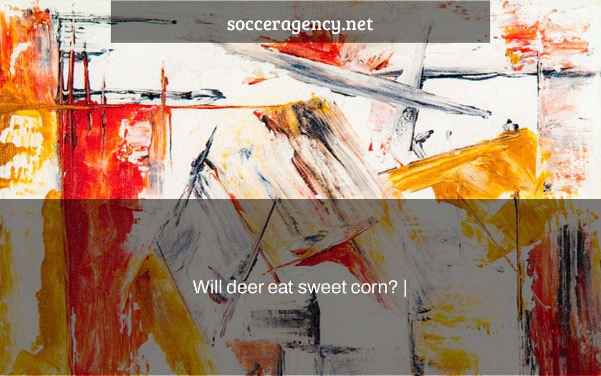 Will deer eat sweet corn? |