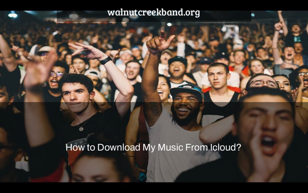 How to Download My Music From Icloud?