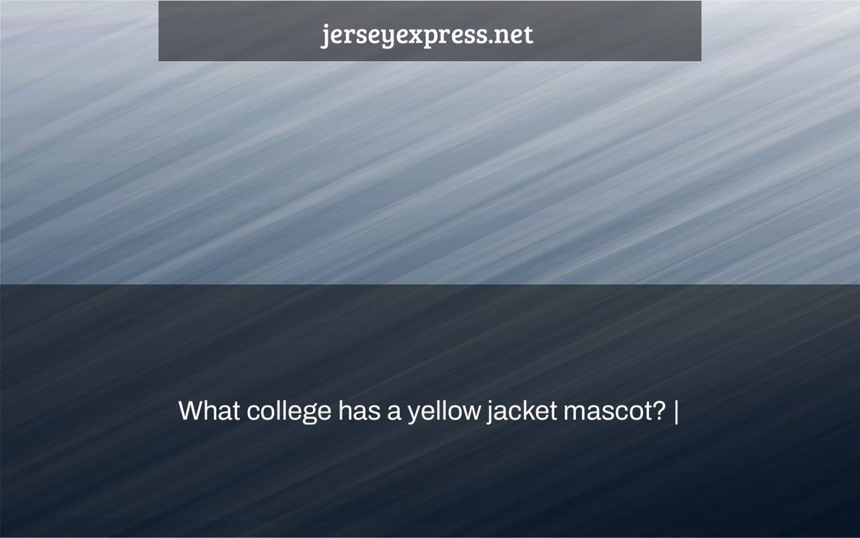 What college has a yellow jacket mascot? |
