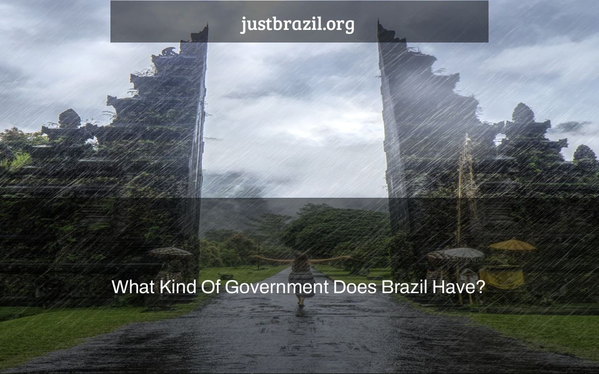 What Kind Of Government Does Brazil Have? • Just Brazil