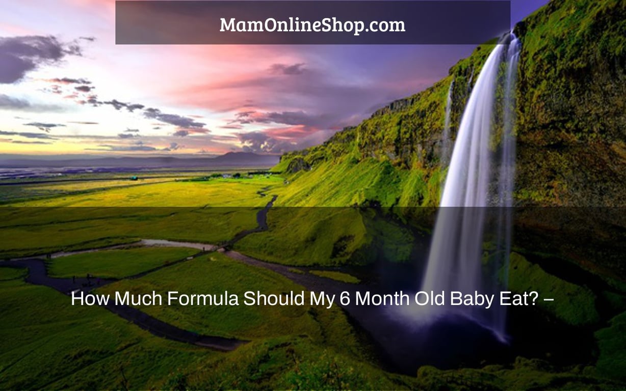 How Much Formula Should My 6 Month Old Baby Eat? –