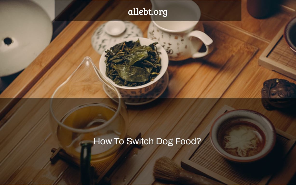 How To Switch Dog Food?