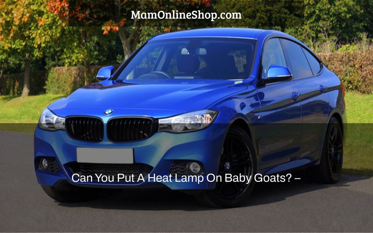 Can You Put A Heat Lamp On Baby Goats? –