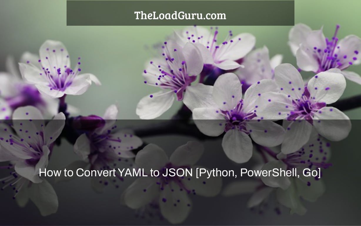 How to Convert YAML to JSON [Python, PowerShell, Go]