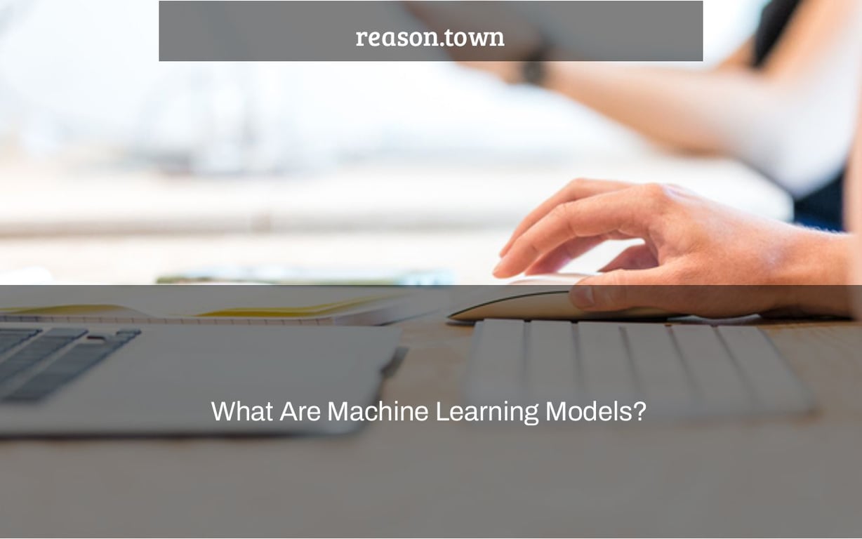 What Are Machine Learning Models?