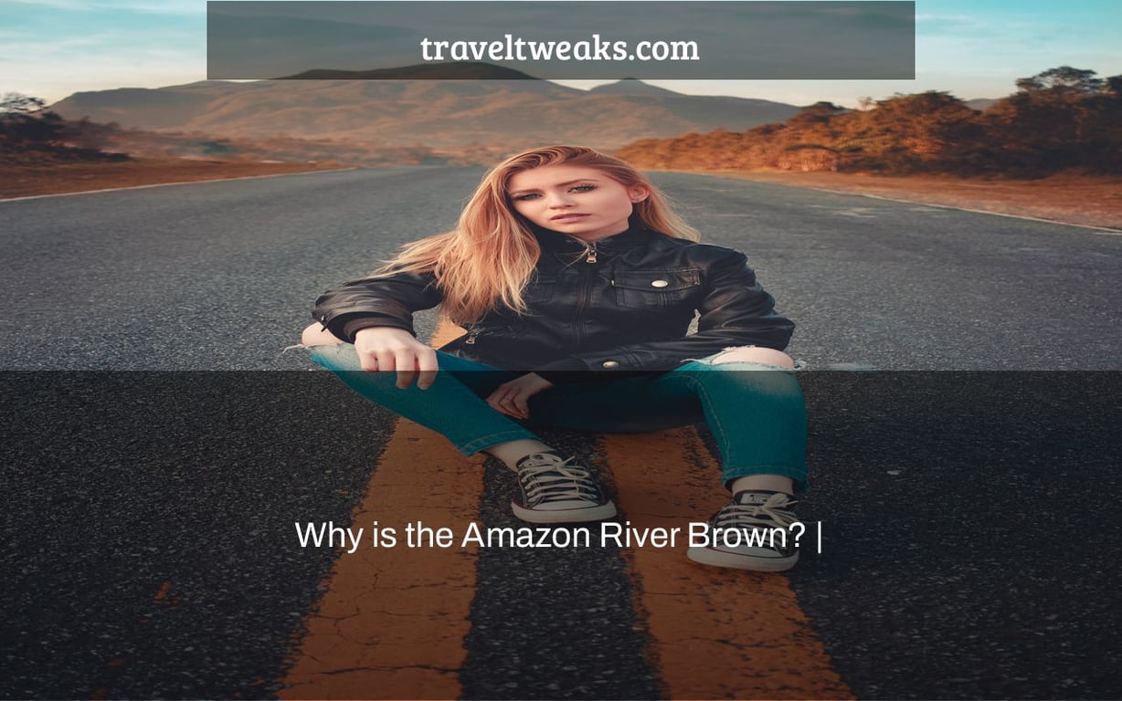 Why is the Amazon River Brown? |
