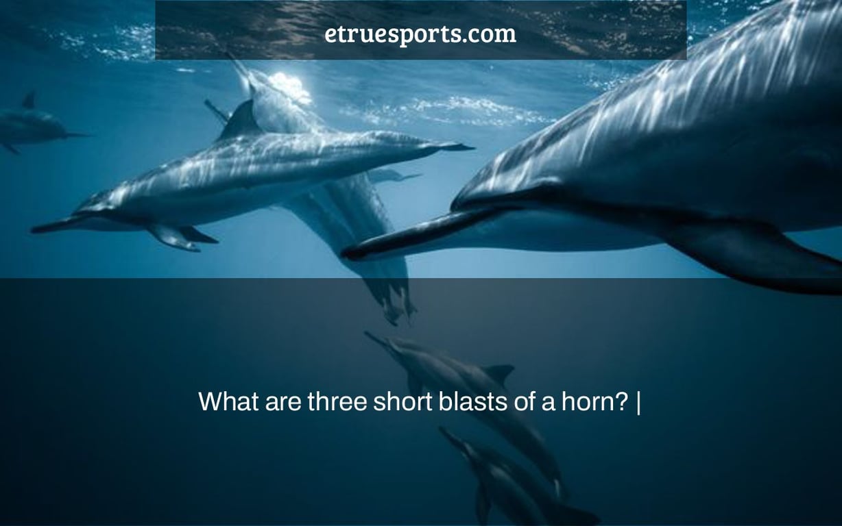 What are three short blasts of a horn? |
