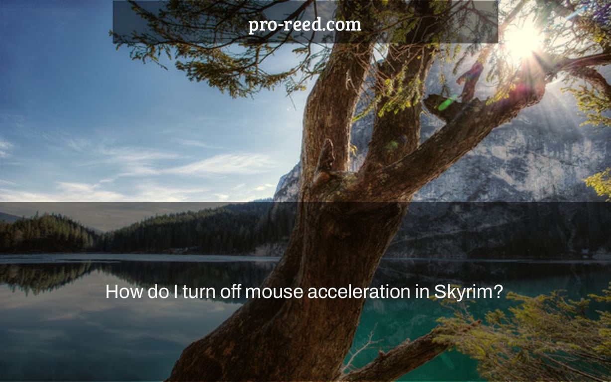 How do I turn off mouse acceleration in Skyrim?