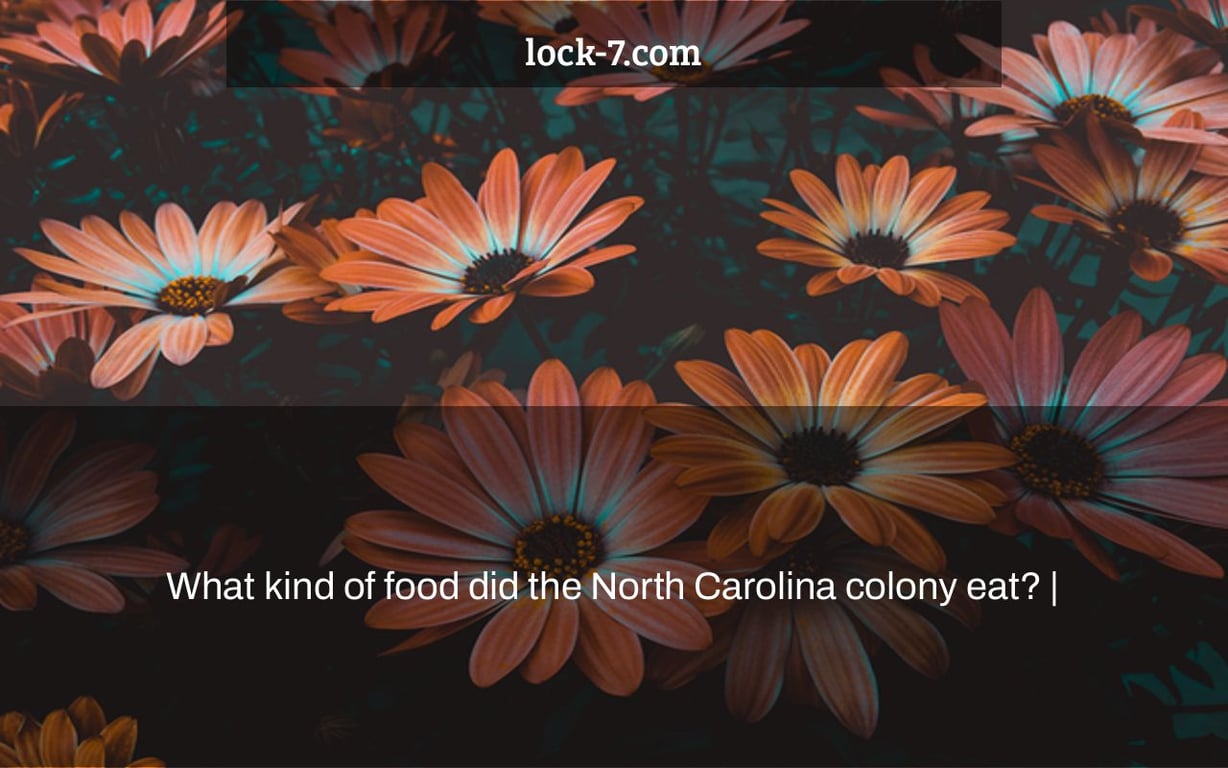 What kind of food did the North Carolina colony eat? |