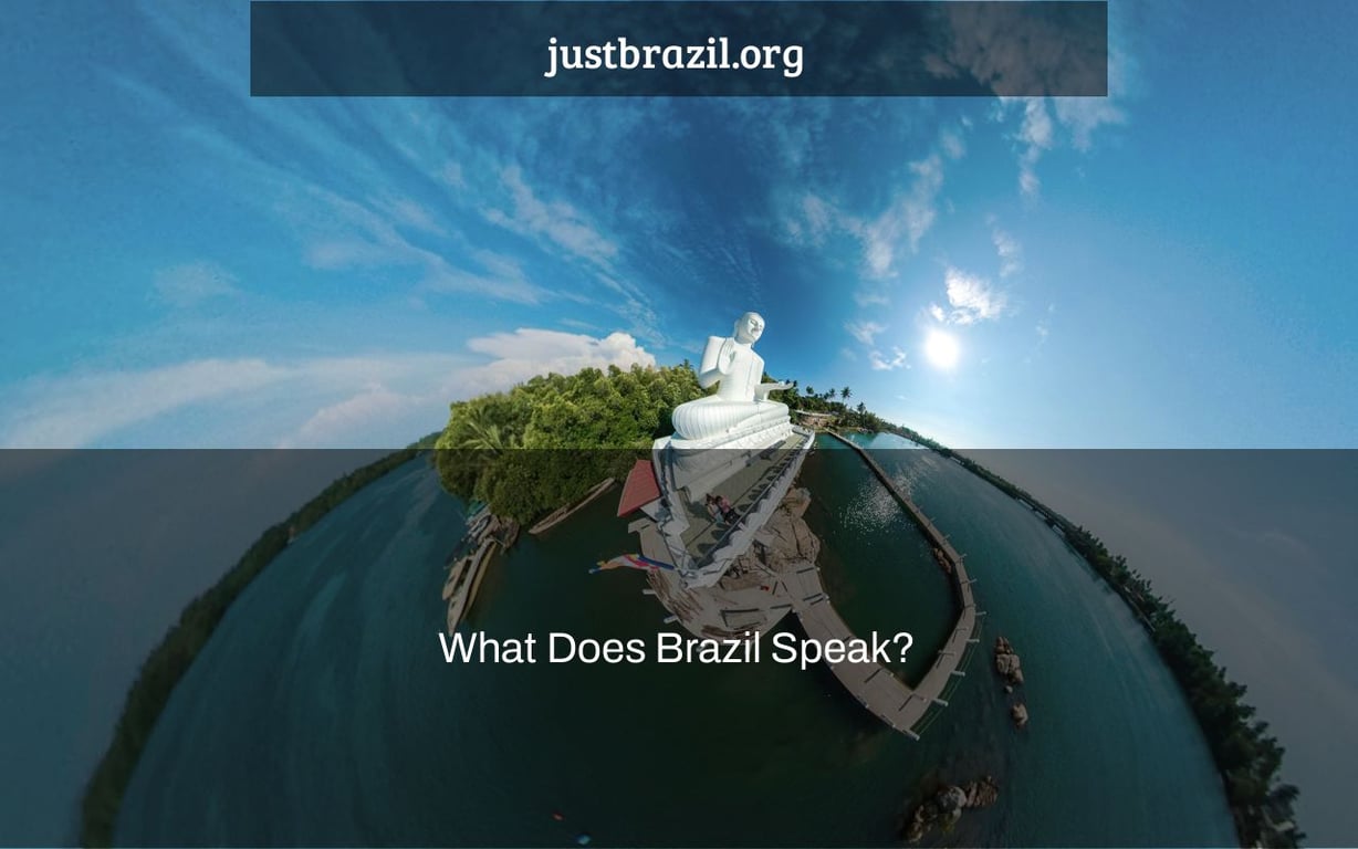 What Does Brazil Speak Just Brazil