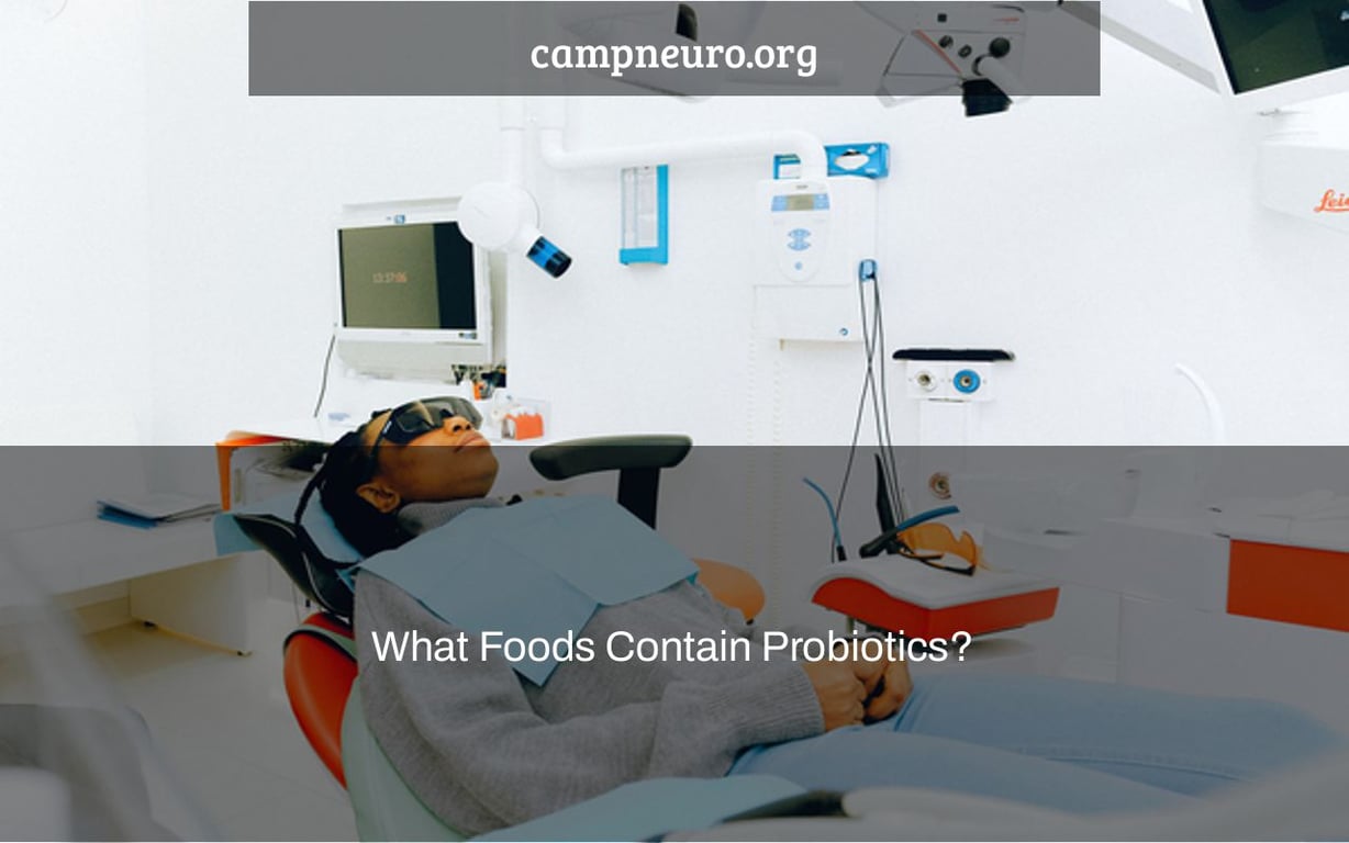 What Foods Contain Probiotics? Camp Neuro