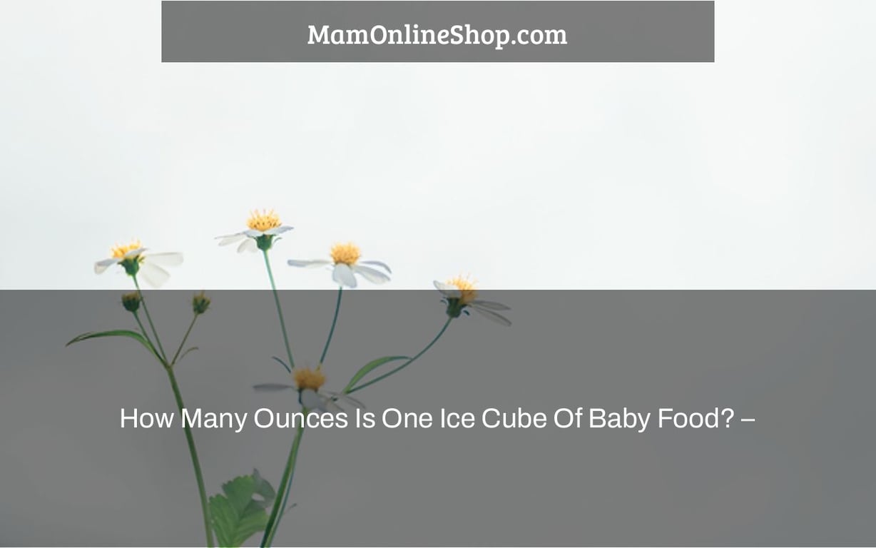 How Many Ounces Is One Ice Cube Of Baby Food? –