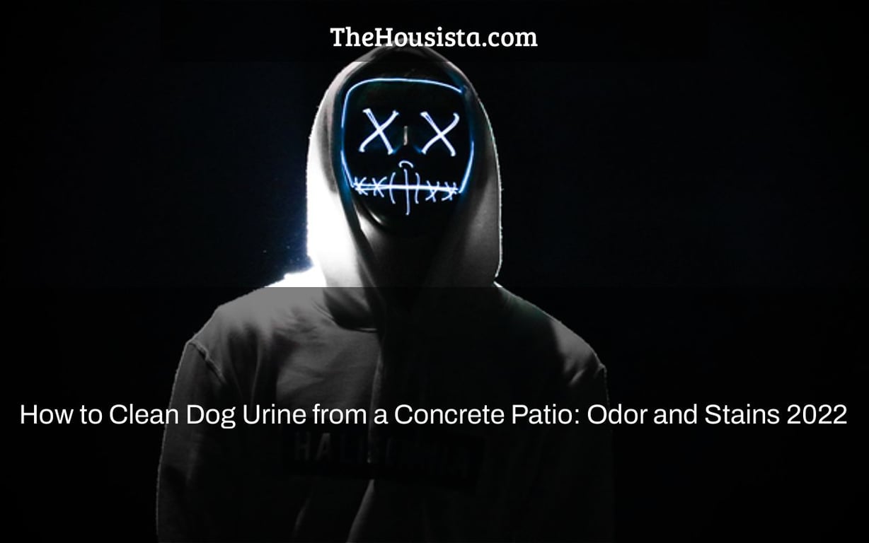 How to Clean Dog Urine from a Concrete Patio: Odor and Stains 2022