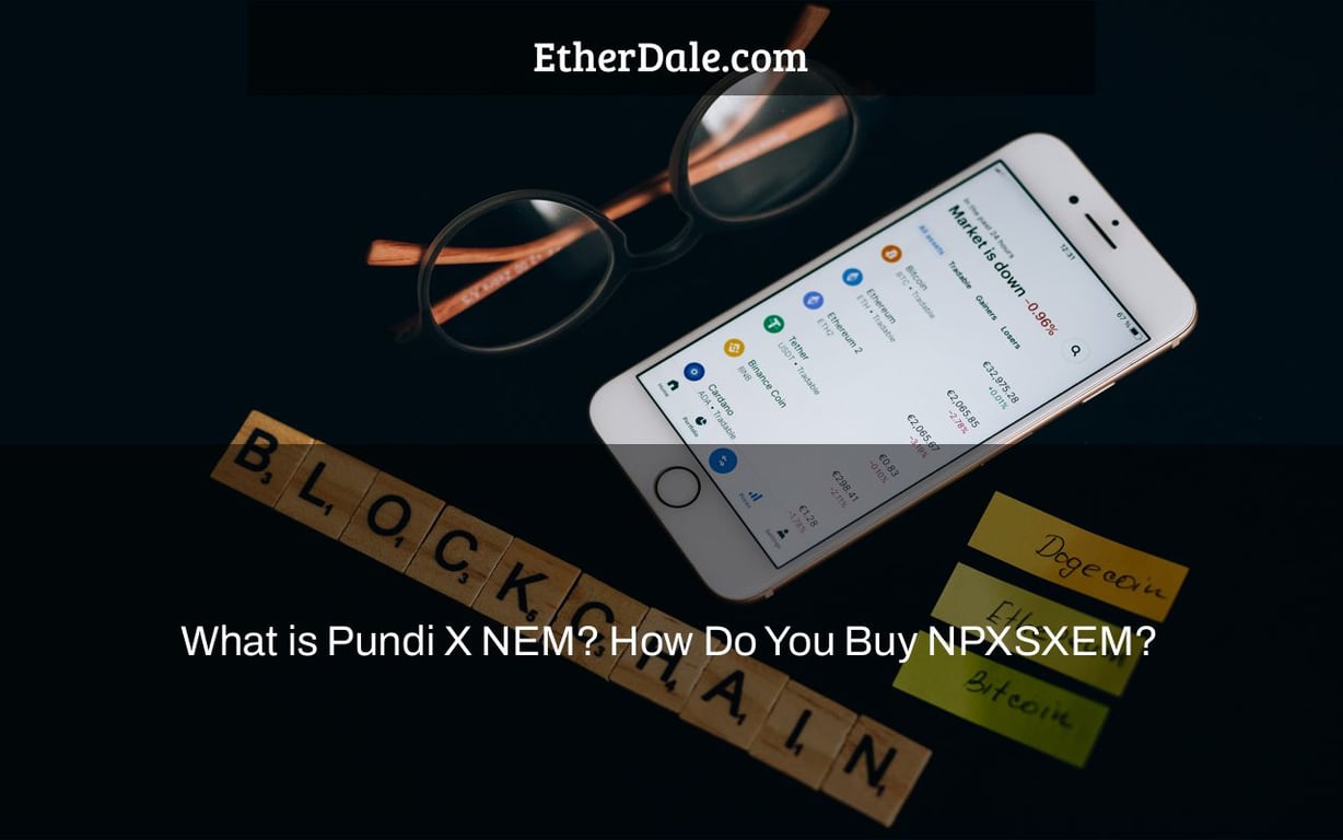 What is Pundi X NEM? How Do You Buy NPXSXEM?
