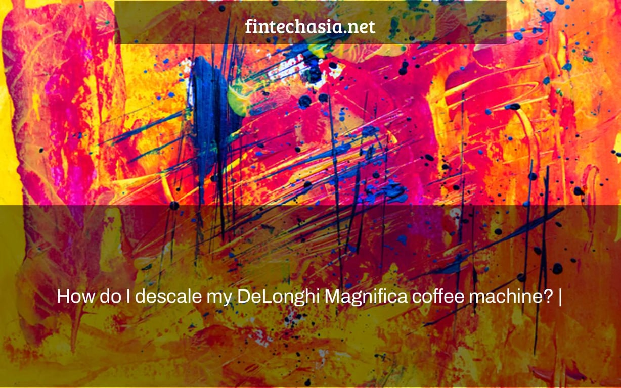 How do I descale my DeLonghi Magnifica coffee machine? |