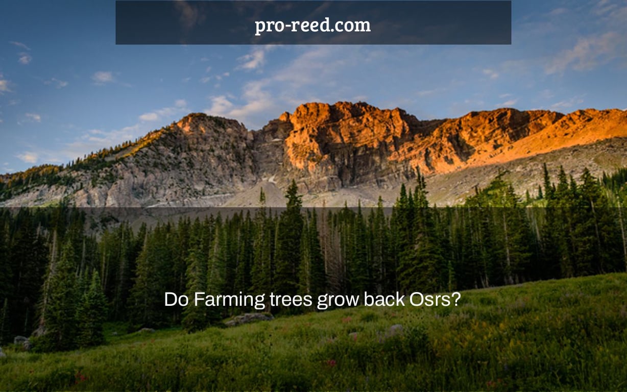 Do Farming trees grow back Osrs?