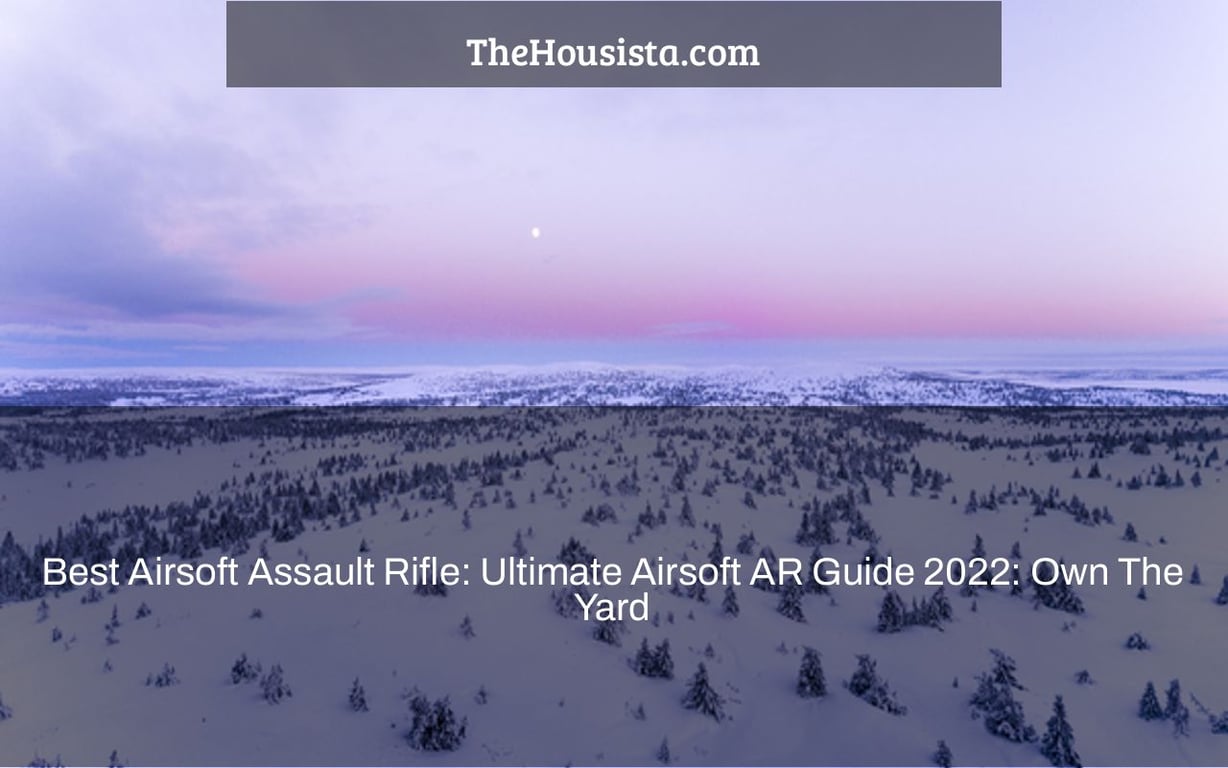 Best Airsoft Assault Rifle: Ultimate Airsoft AR Guide 2022: Own The Yard