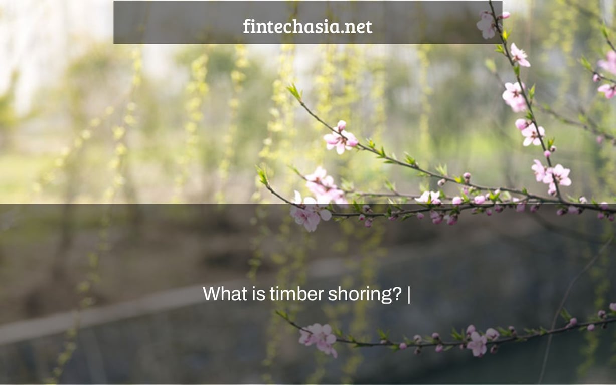 What is timber shoring? |