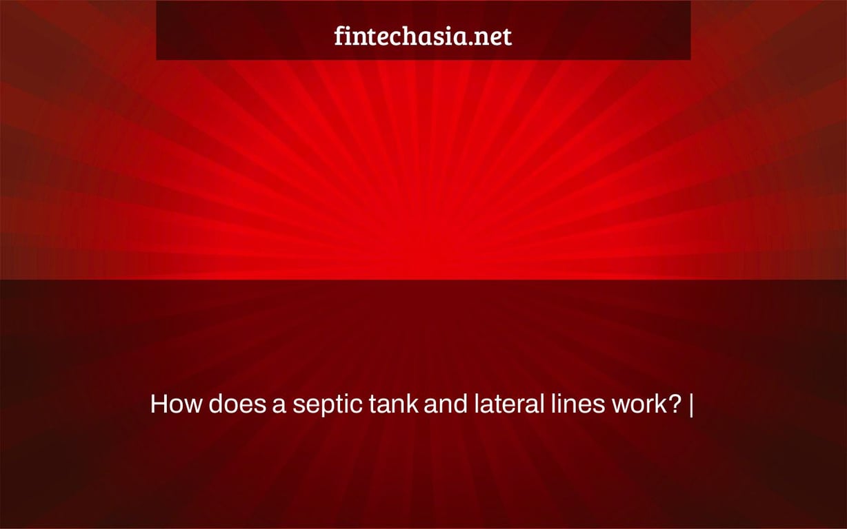 How does a septic tank and lateral lines work? FintechAsia