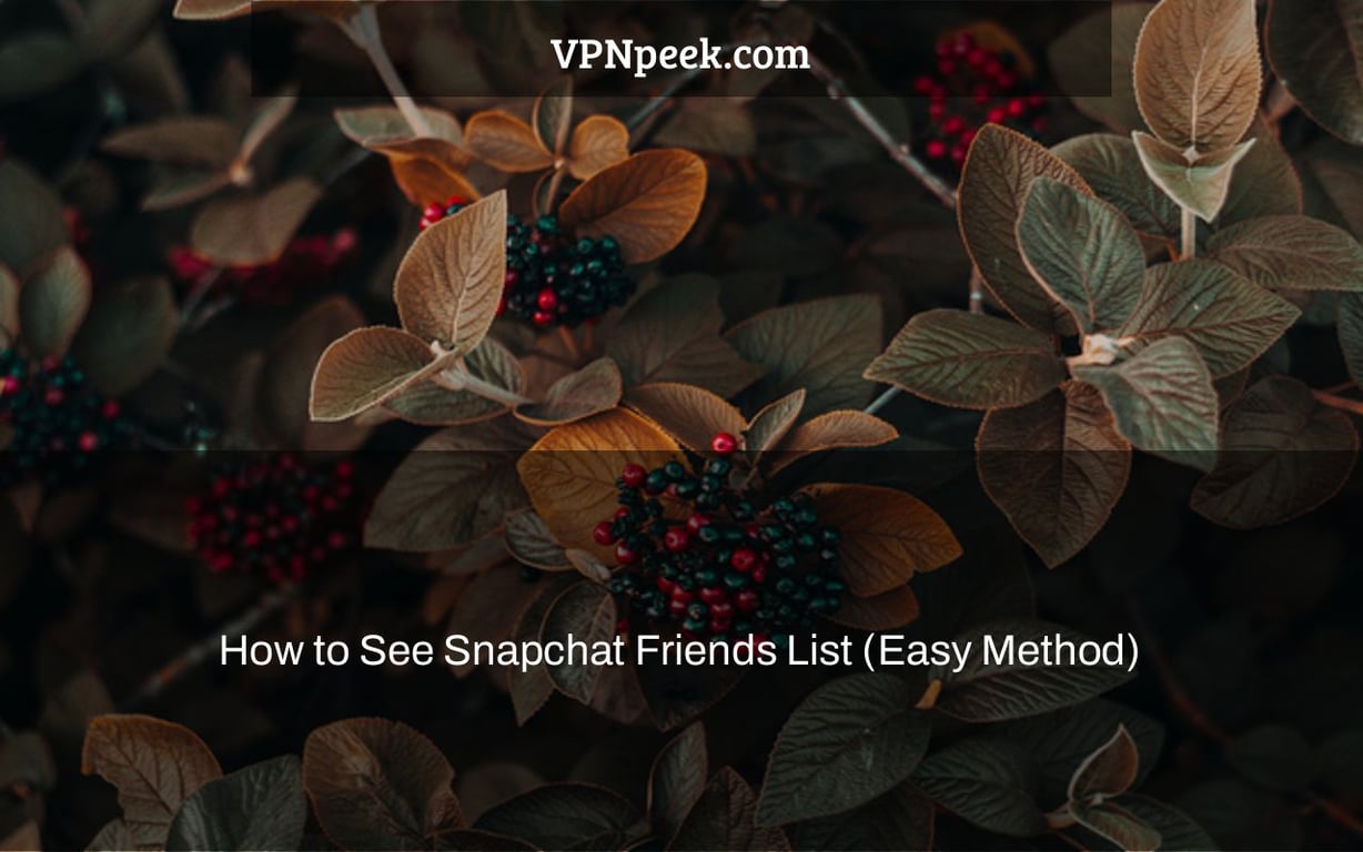 How to See Snapchat Friends List (Easy Method)