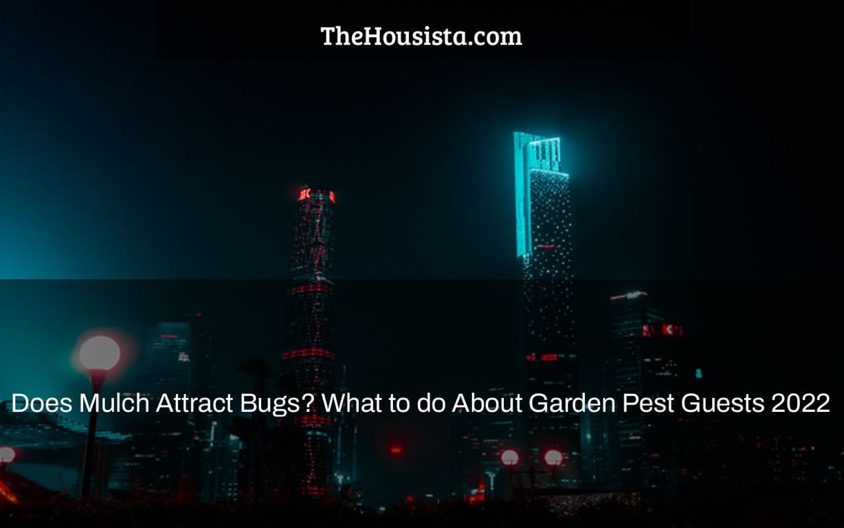 Does Mulch Attract Bugs? What to do About Garden Pest Guests 2022