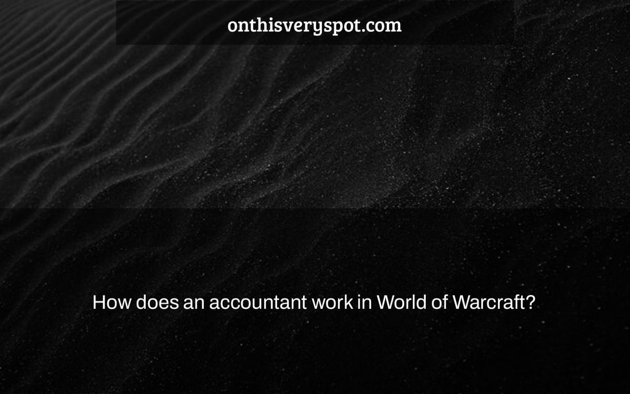 How does an accountant work in World of Warcraft?