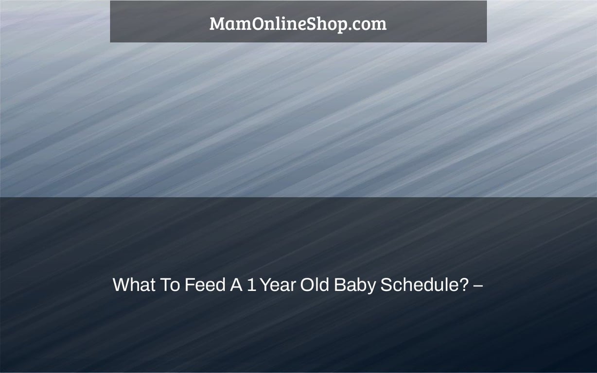 What To Feed A 1 Year Old Baby Schedule? –