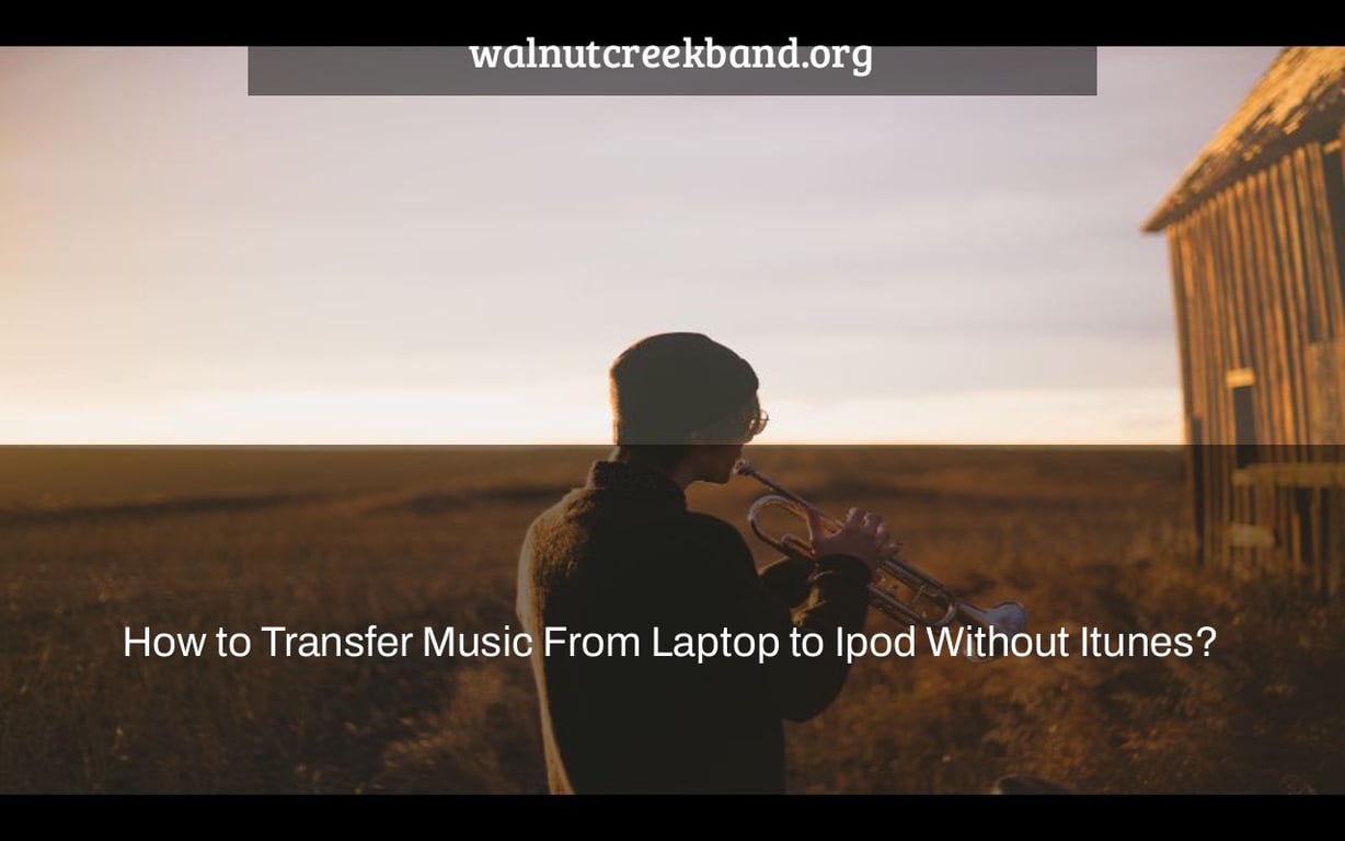 How to Transfer Music From Laptop to Ipod Without Itunes?