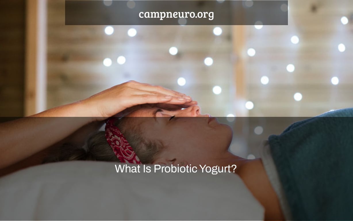 What Is Probiotic Yogurt? Camp Neuro