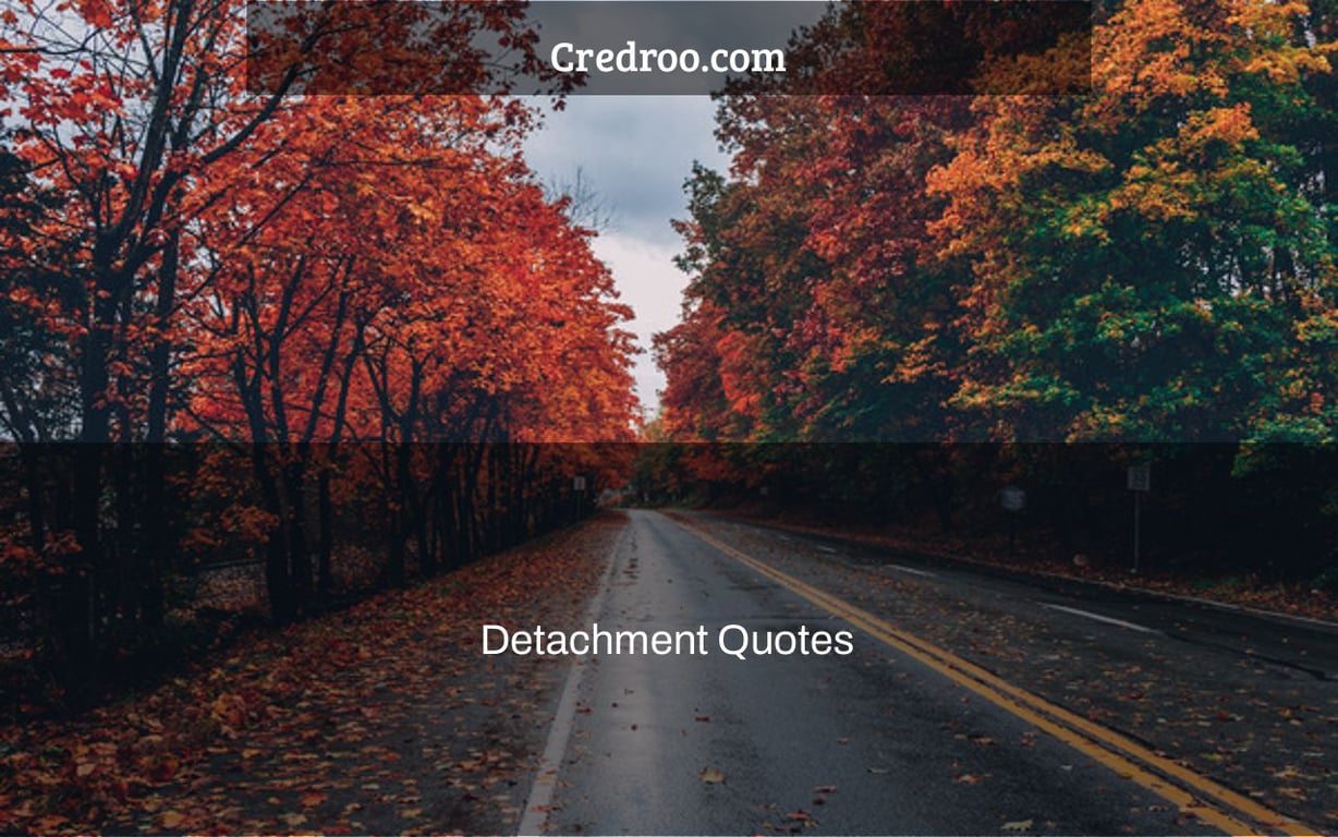Detachment Quotes