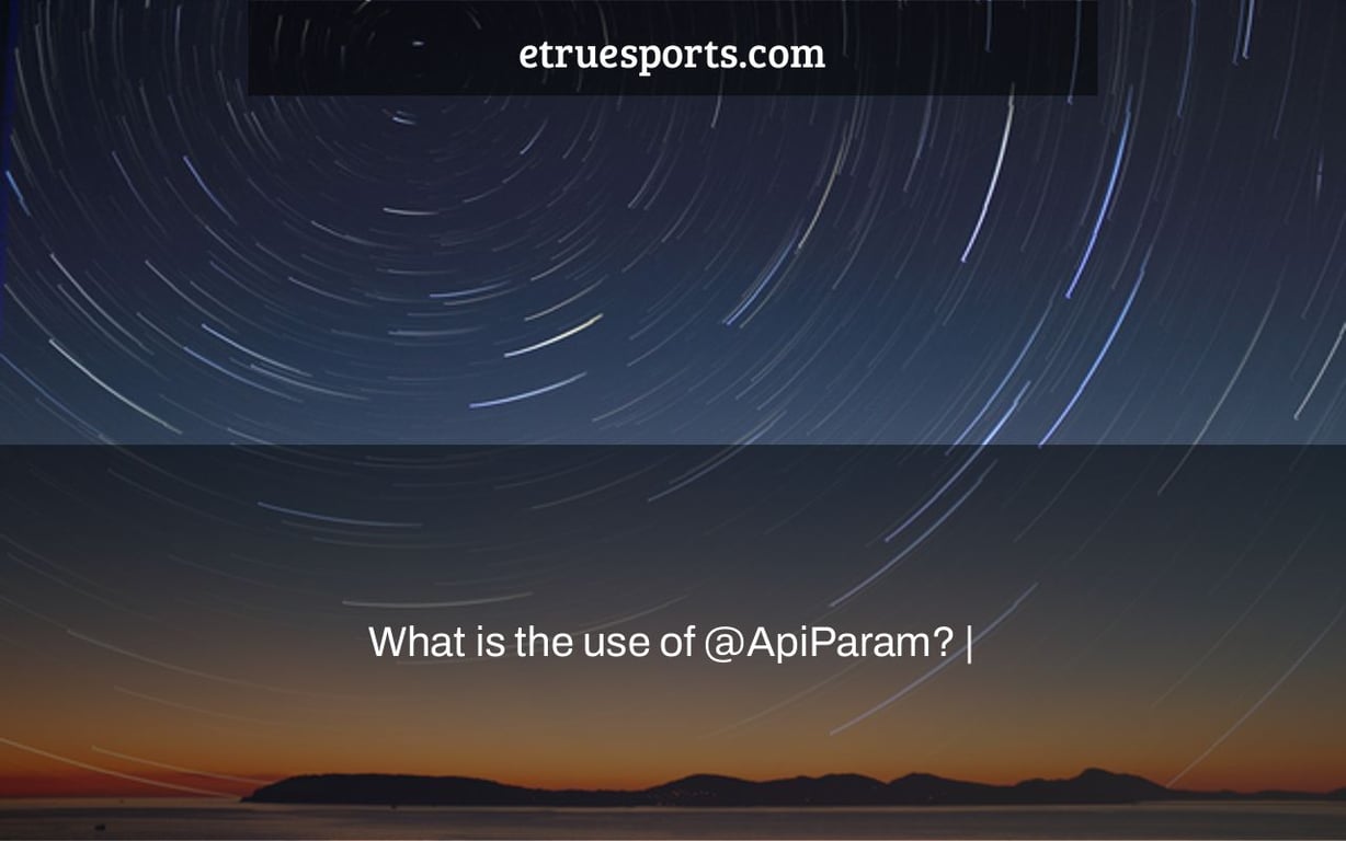 What is the use of @ApiParam? |